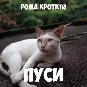 Пуси
