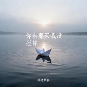 你走那天我没拦你
