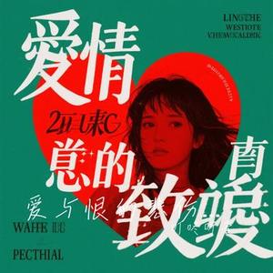 爱与恨的悲伤 (中文版) (Cover 菜小菜)