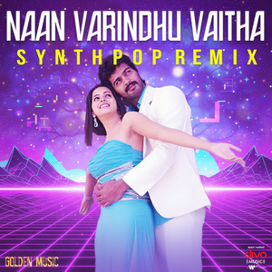 Naan Varaindhu Vaitha - Synthpop Remix
