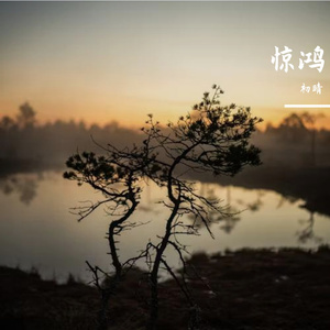 咖色