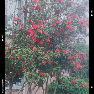 原创变换颜色的阴天