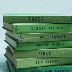 万有引力（抖音版）