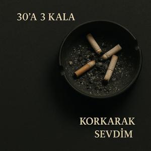 Korkarak Sevdim