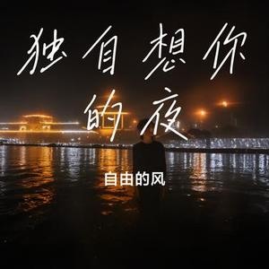 独自想你的夜