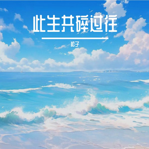 此生共碎过往