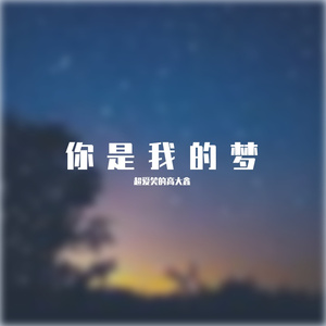 你是我的梦