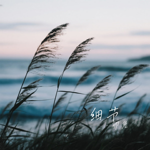 细节