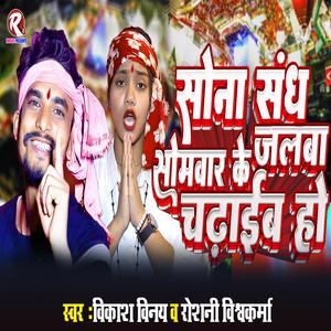 Sona Sang Somwar Ke Jalba Chadhaib Ho