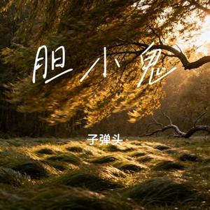 胆小鬼 (子弹头 Remix)