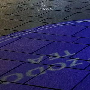 记念（Cover 雷雨心）