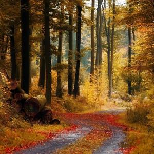 Abaddon The Forgotten