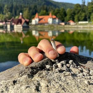 כסף (feat. Pellomar)