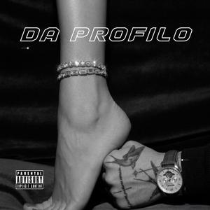 Il profilo