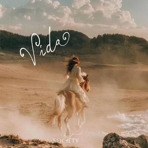 Vida