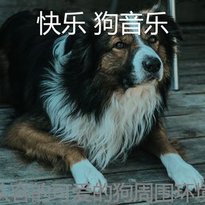 有趣训练你的狗情怀