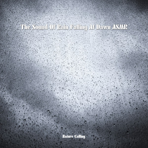 새벽에 내리는 빗소리 ASMR