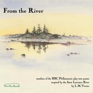 Fleeting by L. M. Verrier