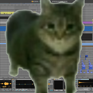 Oiiaio猫-Spinning Cat（The LATER remix）