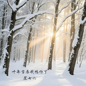 十年雪季我想你了