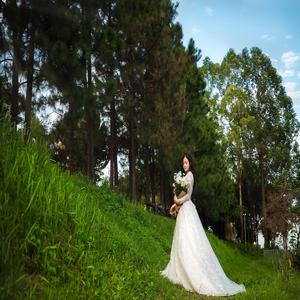 Don T Lie To Your Heart That Dreams Of The Next Day