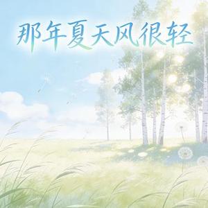 那年夏天风很轻