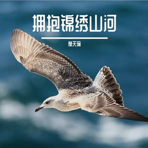 拥抱锦绣山河 伴奏