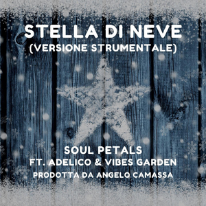 Stella di neve (Versione Strumentale) [feat. Adelico & Vibes Garden]