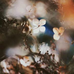 秋remix(Feat.Top Barry)