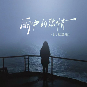 雨中的悲情 (DJ默涵版)