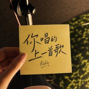 你唱的上一首歌