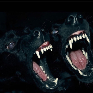 MOSHPIT FREESTYLE (2019) (Solo Version )