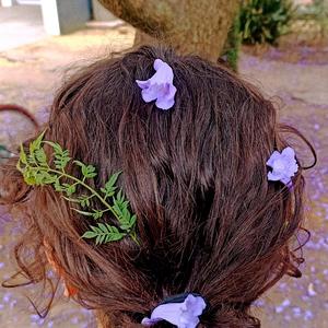 Jacarandas