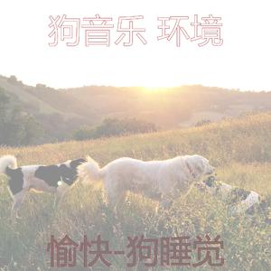 大气层(狗睡觉)