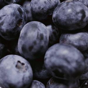 想必你也很寂寞