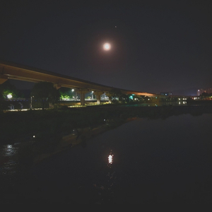 여름밤을 기다려 왔지만