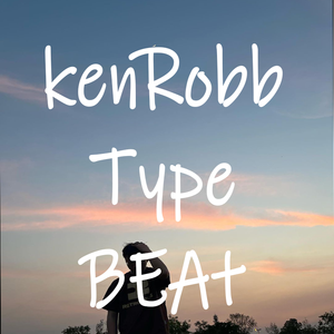 （已售请勿使用仅供欣赏）KenRobb 海鸥 type Beat