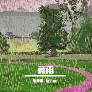 薇雨