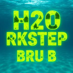 H20 RKSTEP
