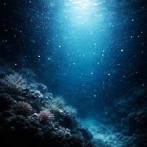 マリンスノーで恋をした