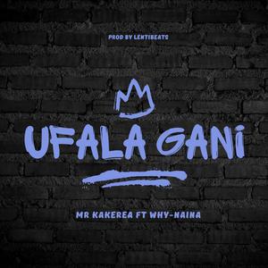 Ufala gani (feat. Mr kakerea & Why Naina)