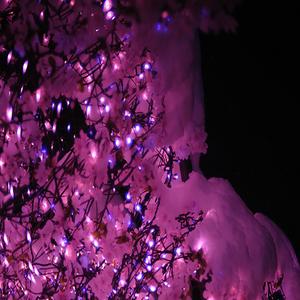 the icarus song (we all fall from grace sometimes)