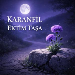 KARANFİL EKTİM TAŞA