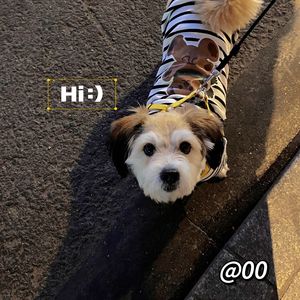 倒带（cover蔡依林）