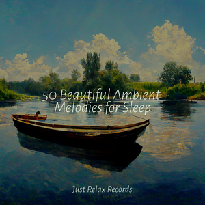 Enigmatic Boundless Visions