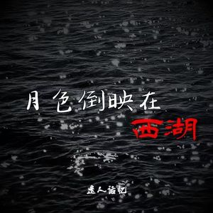 月色倒映在西湖