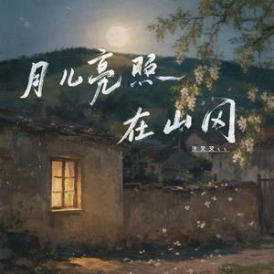 月儿亮照在山冈(DJ小阳版)