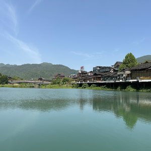 露水 芦苇 玫瑰