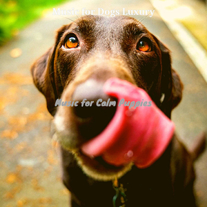 Bubbly Music for Walking the Dog