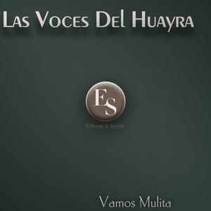 Murio El Cotita (Original Mix)